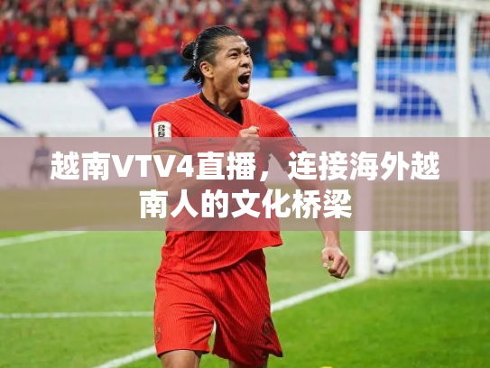 越南VTV4直播，连接海外越南人的文化桥梁