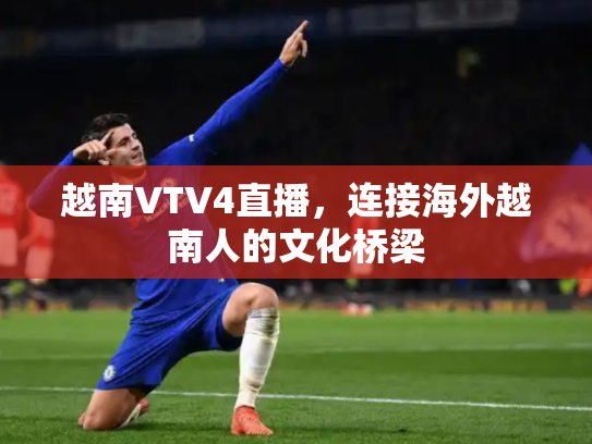 越南VTV4直播，连接海外越南人的文化桥梁