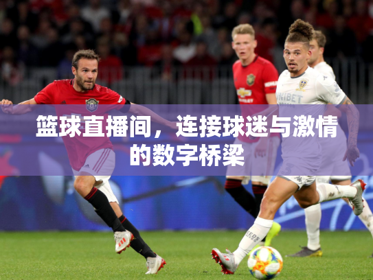 篮球直播间，连接球迷与激情的数字桥梁
