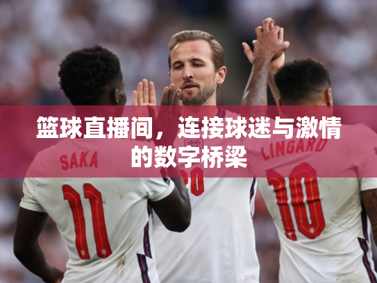 篮球直播间，连接球迷与激情的数字桥梁