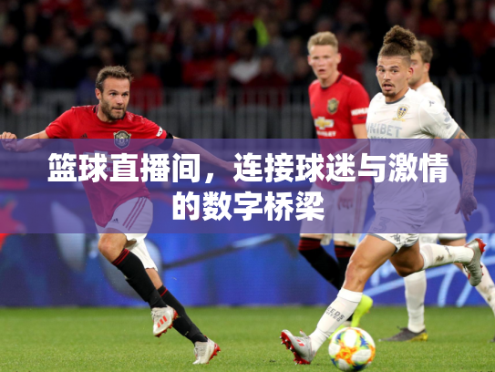 篮球直播间，连接球迷与激情的数字桥梁