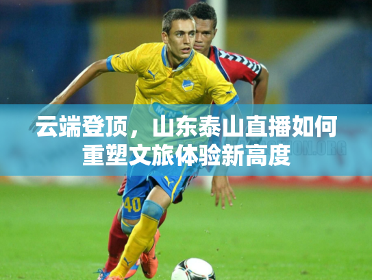 云端登顶，山东泰山直播如何重塑文旅体验新高度