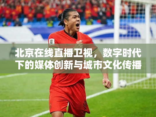 北京在线直播卫视，数字时代下的媒体创新与城市文化传播