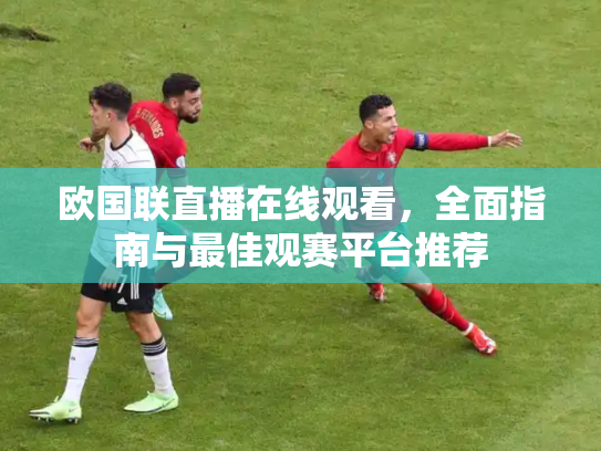 欧国联直播在线观看，全面指南与最佳观赛平台推荐