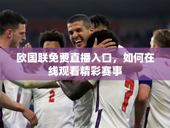 欧国联免费直播入口，如何在线观看精彩赛事