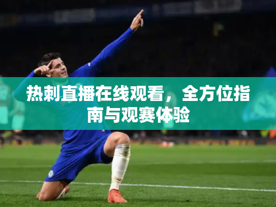 热刺直播在线观看，全方位指南与观赛体验