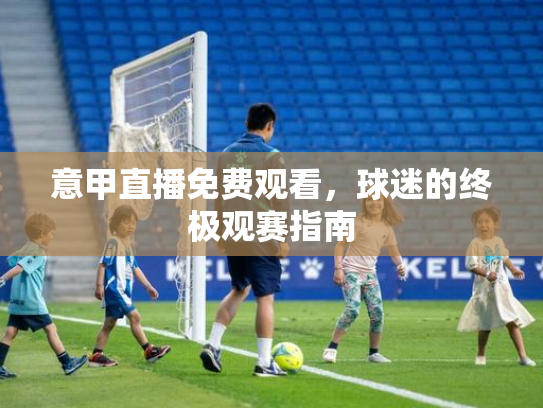 意甲直播免费观看，球迷的终极观赛指南