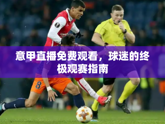 意甲直播免费观看，球迷的终极观赛指南