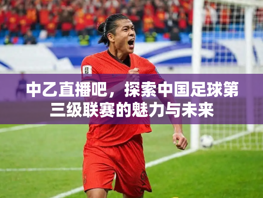 中乙直播吧，探索中国足球第三级联赛的魅力与未来