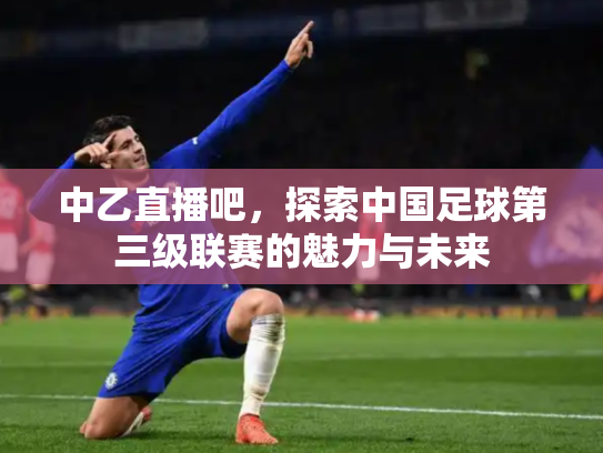 中乙直播吧，探索中国足球第三级联赛的魅力与未来