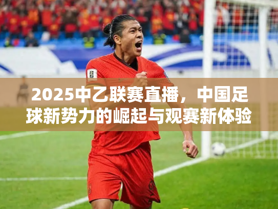 2025中乙联赛直播，中国足球新势力的崛起与观赛新体验