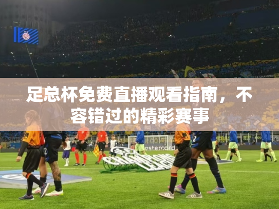 足总杯免费直播观看指南，不容错过的精彩赛事