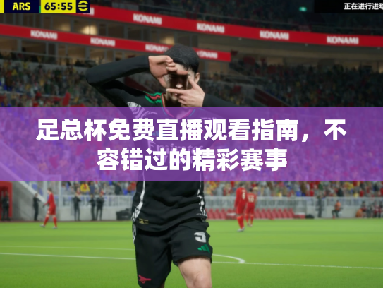 足总杯免费直播观看指南，不容错过的精彩赛事