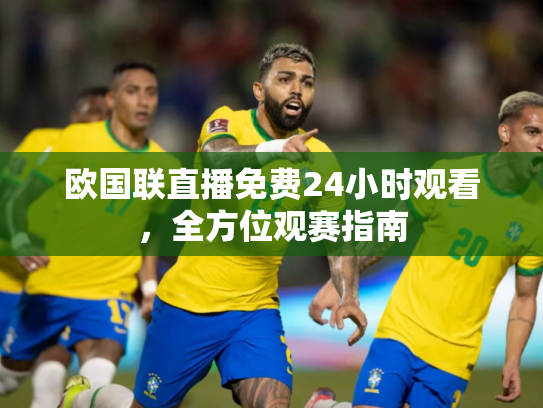欧国联直播免费24小时观看，全方位观赛指南