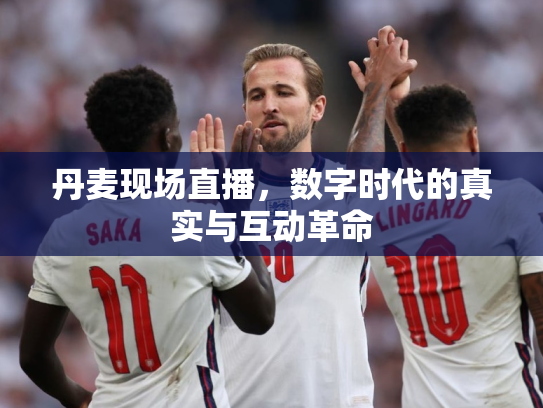 丹麦现场直播，数字时代的真实与互动革命