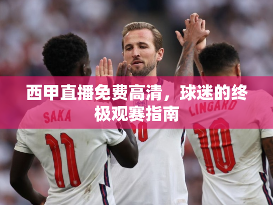 西甲直播免费高清，球迷的终极观赛指南