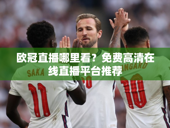 欧冠直播哪里看？免费高清在线直播平台推荐