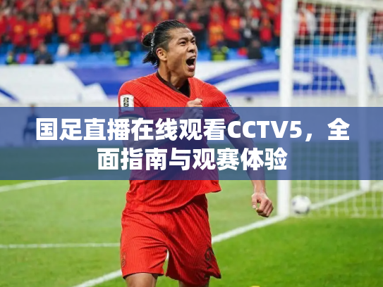 国足直播在线观看CCTV5，全面指南与观赛体验