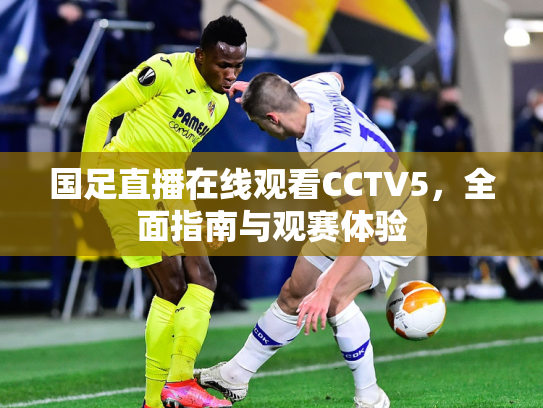 国足直播在线观看CCTV5，全面指南与观赛体验