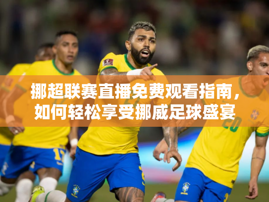 挪超联赛直播免费观看指南，如何轻松享受挪威足球盛宴