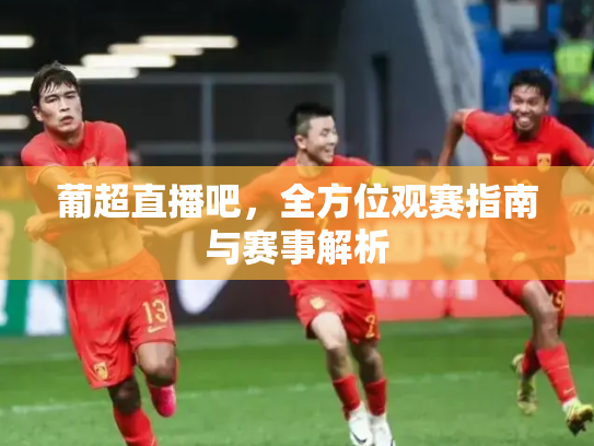 葡超直播吧，全方位观赛指南与赛事解析