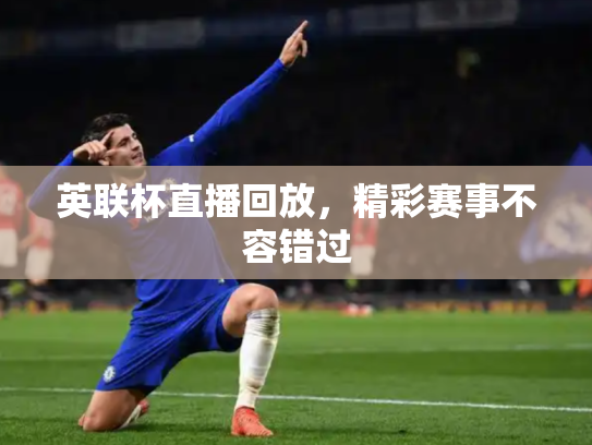 英联杯直播回放，精彩赛事不容错过