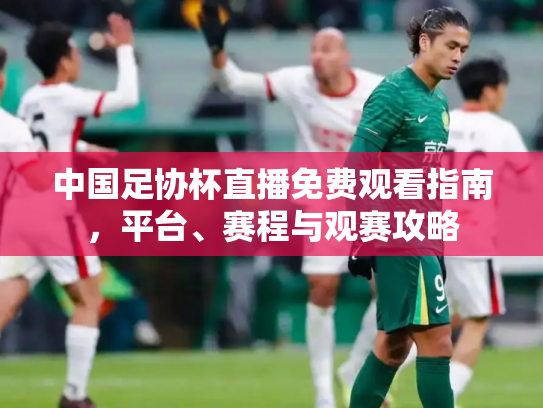 中国足协杯直播免费观看指南，平台、赛程与观赛攻略