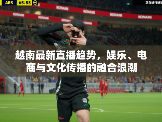 越南最新直播趋势，娱乐、电商与文化传播的融合浪潮