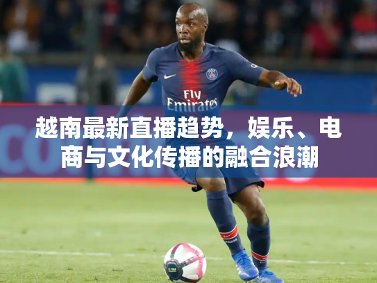 越南最新直播趋势，娱乐、电商与文化传播的融合浪潮