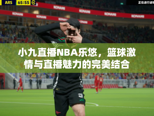 小九直播NBA乐悠，篮球激情与直播魅力的完美结合