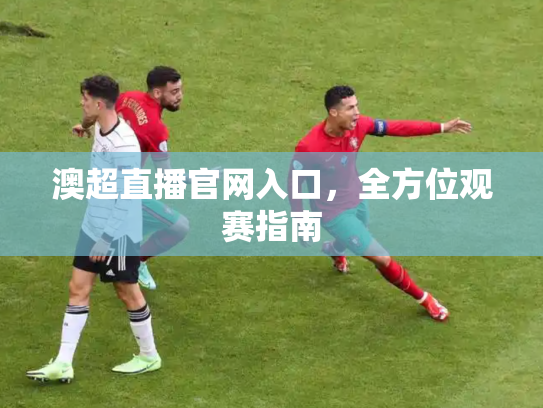 澳超直播官网入口，全方位观赛指南