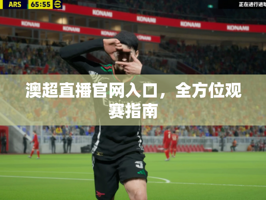 澳超直播官网入口，全方位观赛指南