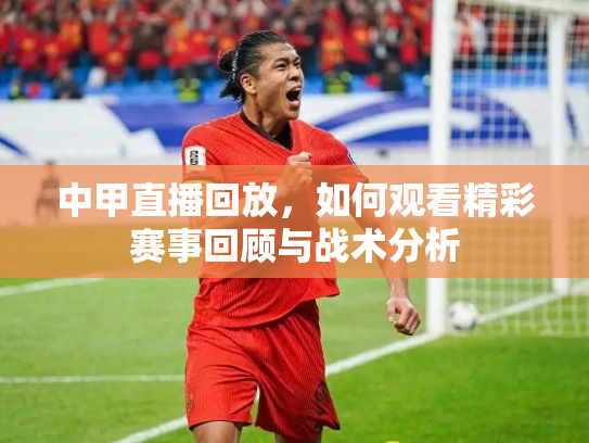 中甲直播回放，如何观看精彩赛事回顾与战术分析