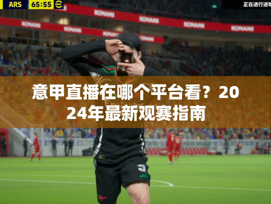 意甲直播在哪个平台看？2024年最新观赛指南