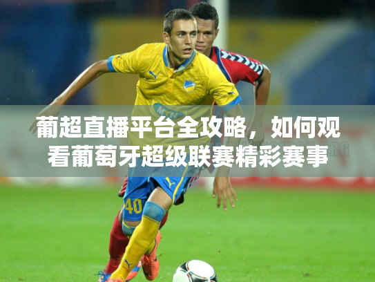 葡超直播平台全攻略，如何观看葡萄牙超级联赛精彩赛事