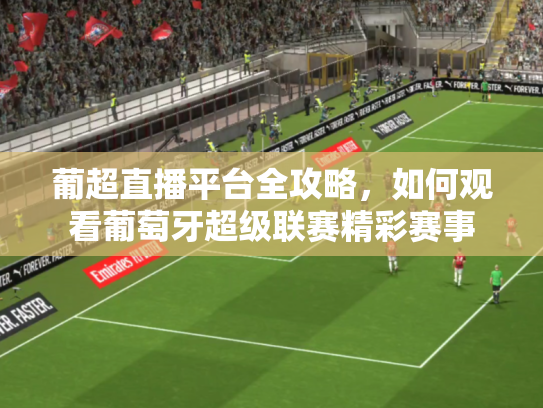 葡超直播平台全攻略，如何观看葡萄牙超级联赛精彩赛事
