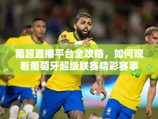 葡超直播平台全攻略，如何观看葡萄牙超级联赛精彩赛事
