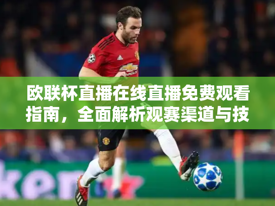欧联杯直播在线直播免费观看指南，全面解析观赛渠道与技巧