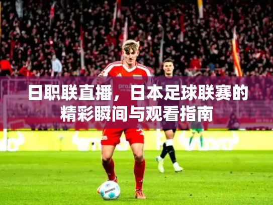 日职联直播，日本足球联赛的精彩瞬间与观看指南