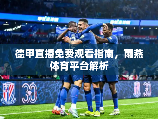 德甲直播免费观看指南，雨燕体育平台解析