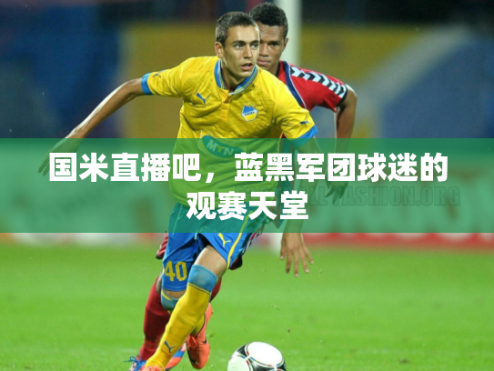 国米直播吧，蓝黑军团球迷的观赛天堂