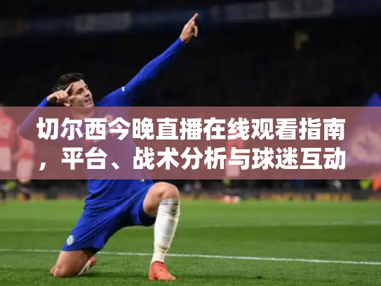 切尔西今晚直播在线观看指南，平台、战术分析与球迷互动