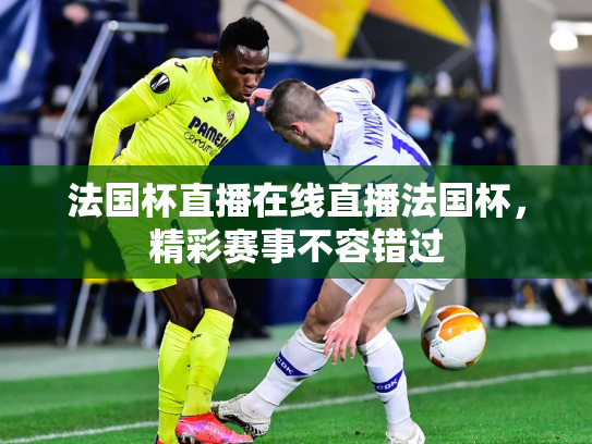法国杯直播在线直播法国杯，精彩赛事不容错过