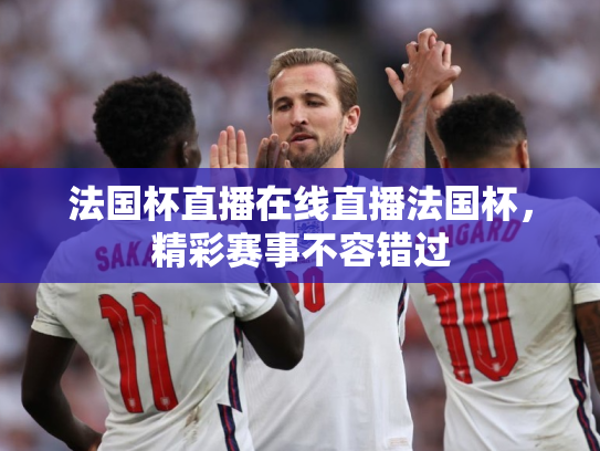 法国杯直播在线直播法国杯，精彩赛事不容错过