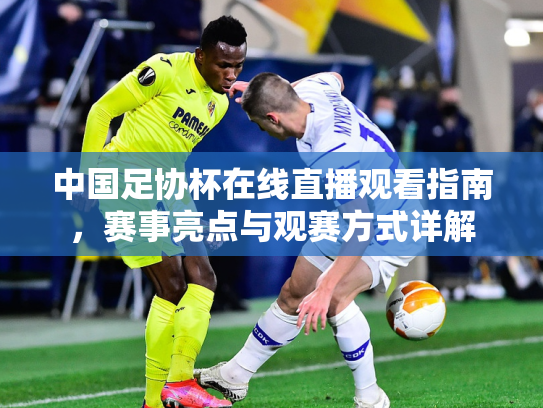 中国足协杯在线直播观看指南，赛事亮点与观赛方式详解