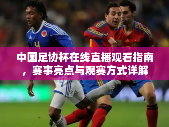 中国足协杯在线直播观看指南，赛事亮点与观赛方式详解