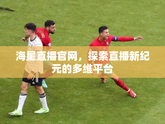 海星直播官网，探索直播新纪元的多维平台