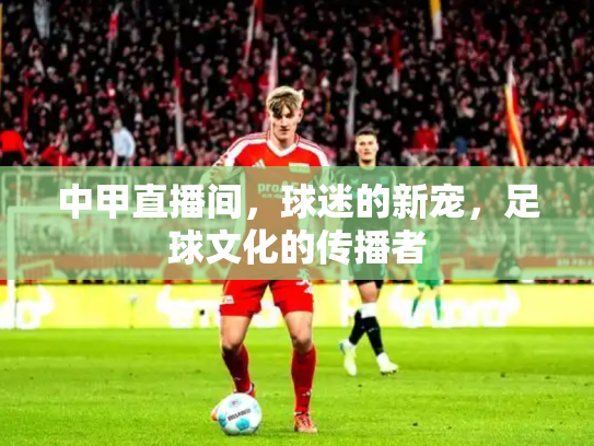 中甲直播间，球迷的新宠，足球文化的传播者