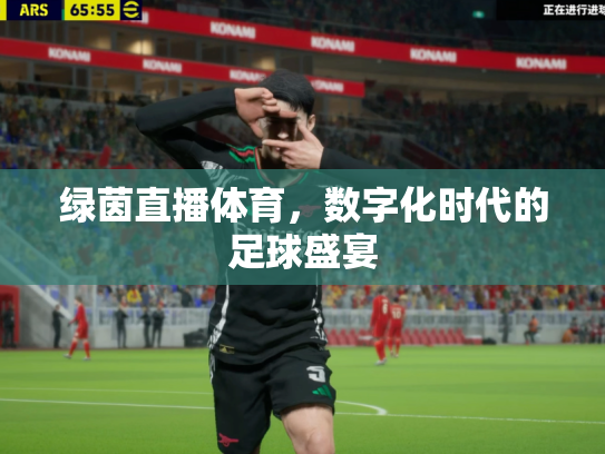 绿茵直播体育，数字化时代的足球盛宴