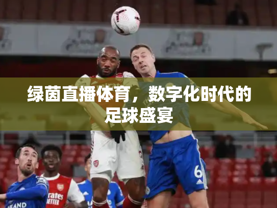 绿茵直播体育，数字化时代的足球盛宴